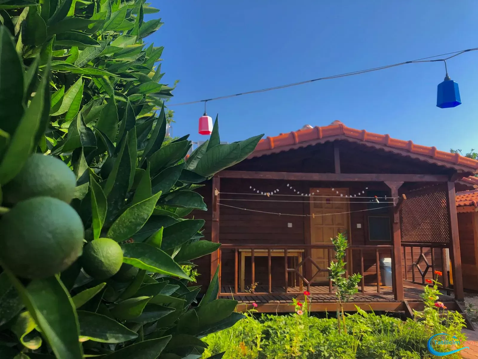 tatilcim.com Zehra Apart Evleri